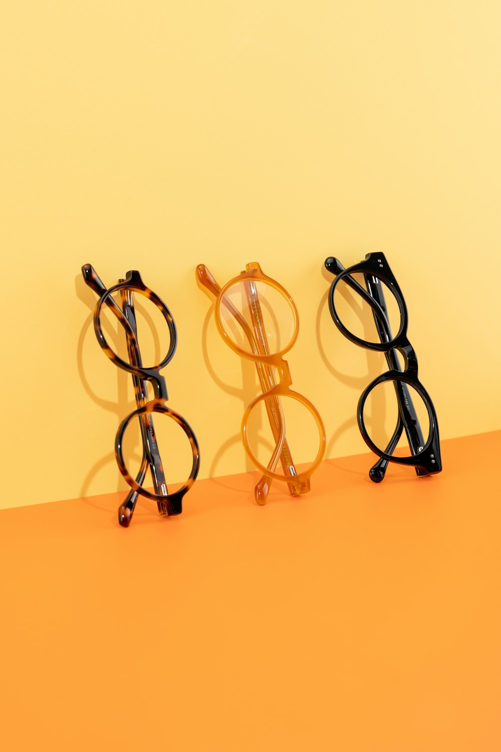 Coach eyewear